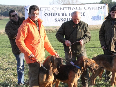 des limiers de l'Adour - coupe de france 2013 sur sanglier